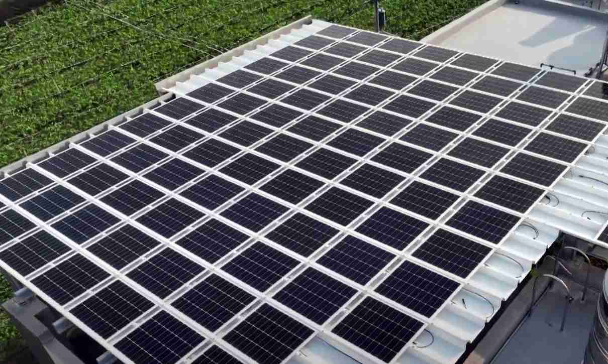 NG大舞台SunSteel光电浪板升级双玻结构，，，，以提升机械负载强度及气候耐候度，，，，可广泛运用于多元场域